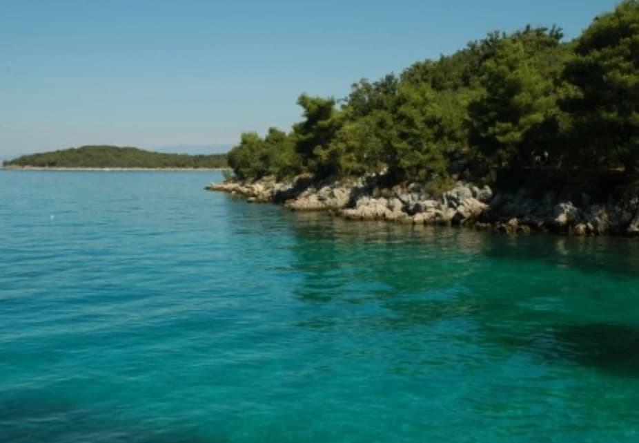 You can't help but love it